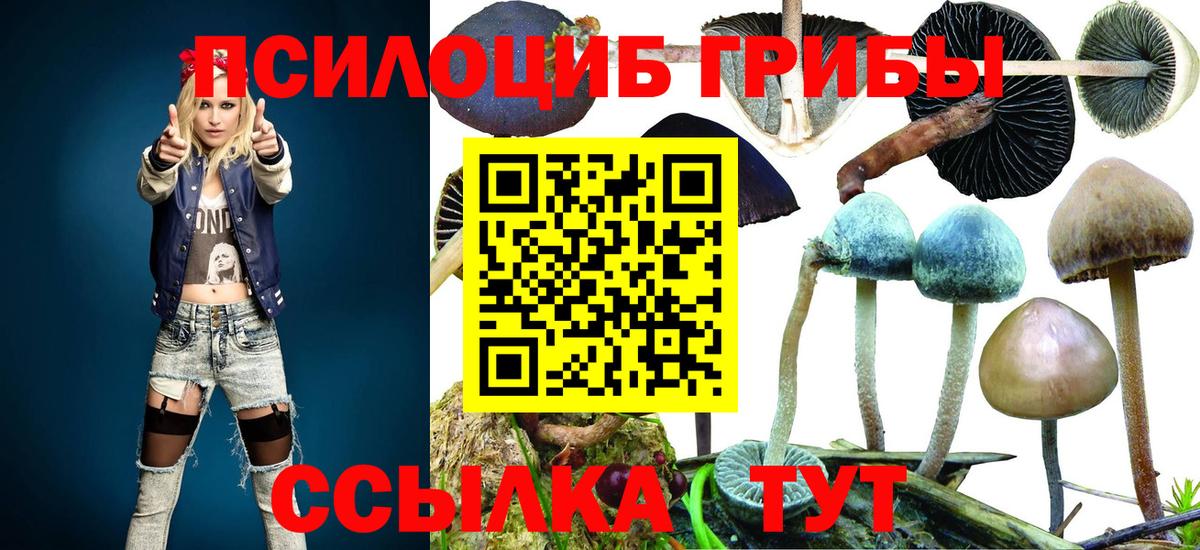 Псилоцибиновые грибы прущие грибы Кыштым