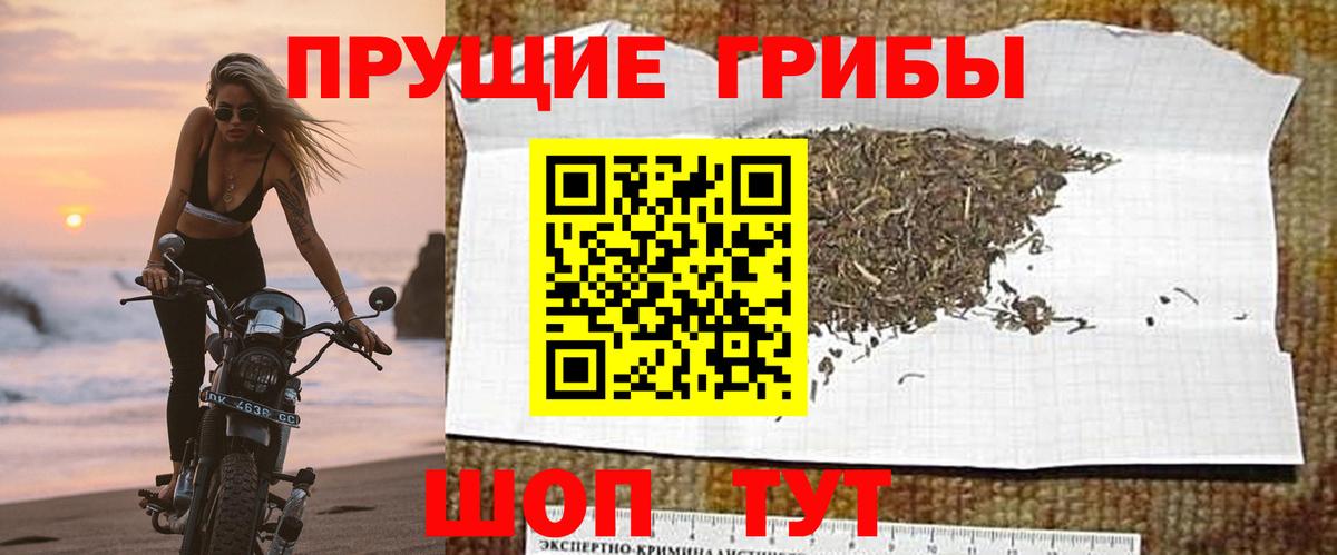сколько стоит  Вход с VPN  Кыштым  Псилоцибиновые грибы Cubensis 